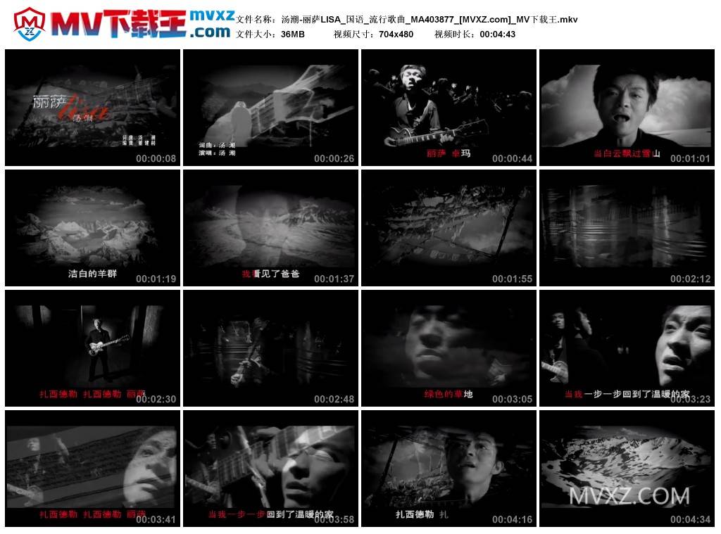 汤潮-丽萨LISA_国语_流行歌曲_MA403877